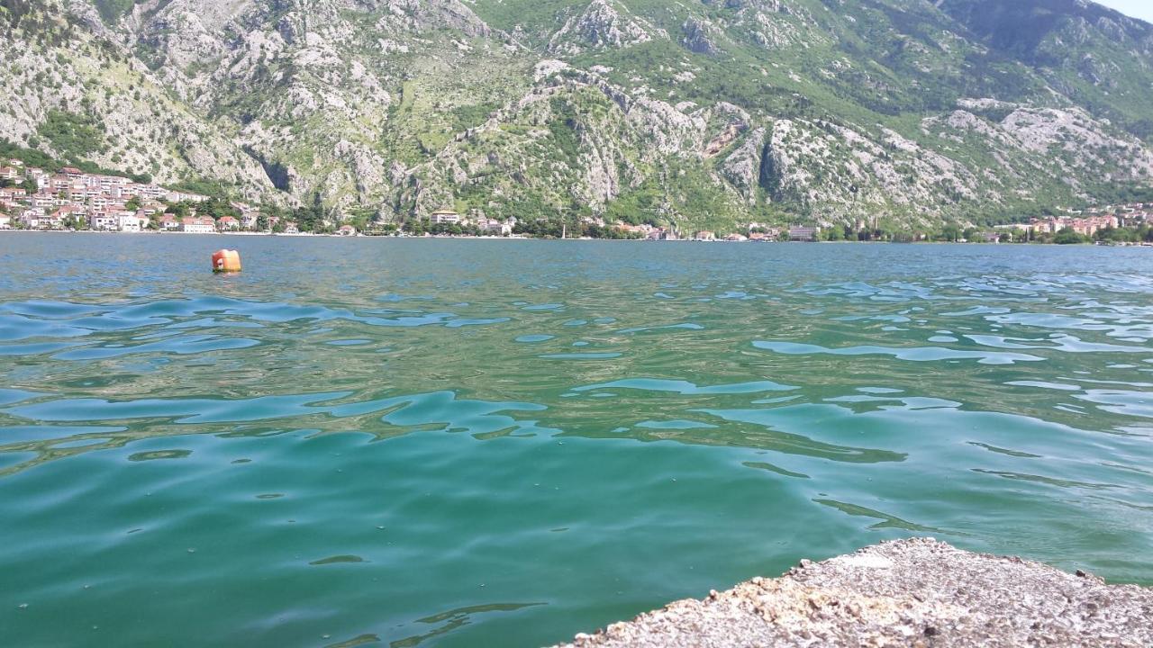 Apartment Radovic Kotor Exterior foto